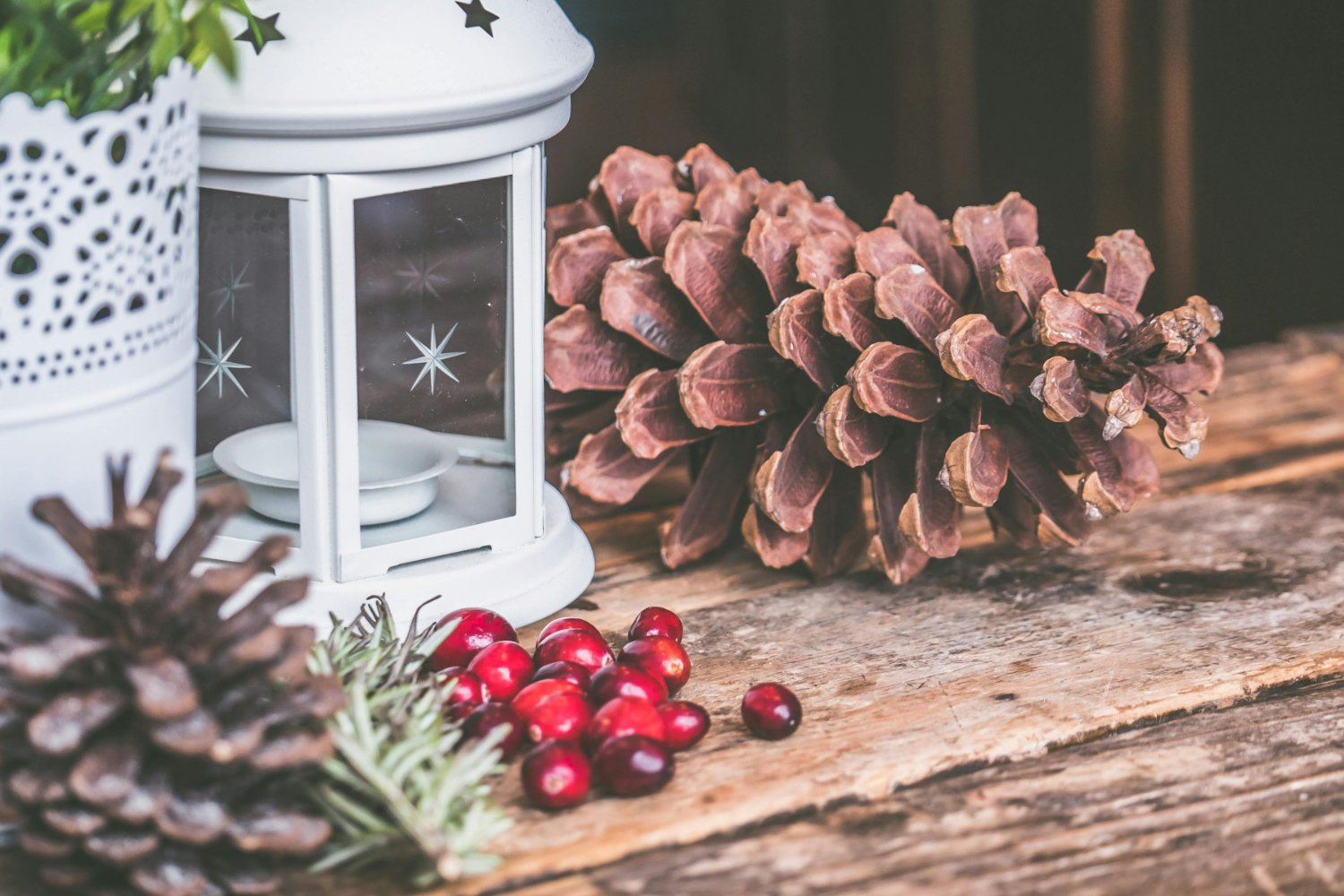 Holiday stress